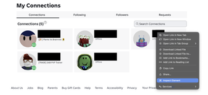 Inspect Element on Roblox connections page