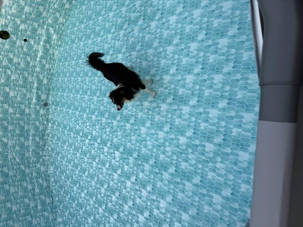 Pool Inspector before filling, ensuring everything looks good