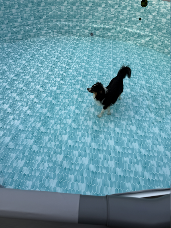 Pool Inspector before filling, ensuring everything looks good